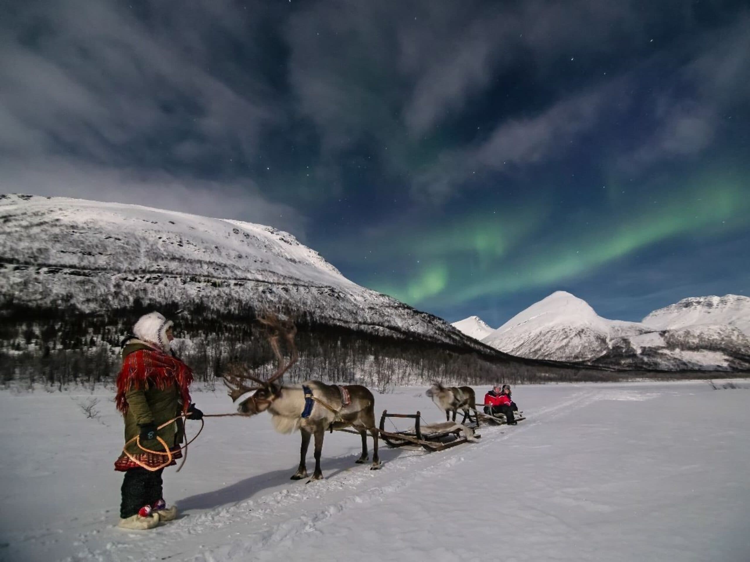 Northern Light Tour in Tromsø - 1